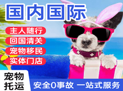 日照山字河航空运输国际宠物托运 【国